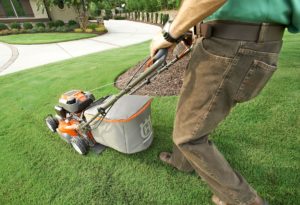 Landscape Maintenance